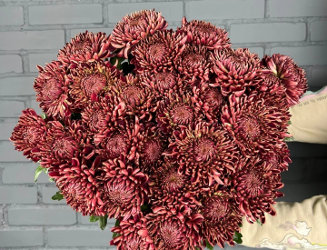 На складе новое поступление! Срезанные цветы